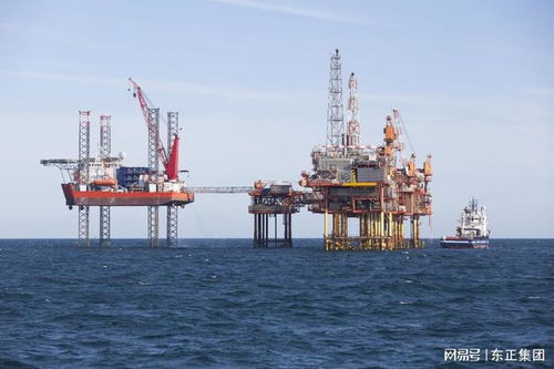 东正化工聚丙烯酰胺 pam絮凝剂 生产厂家 供应多种型号产品