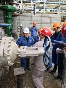 我们也有自己的化工产品了